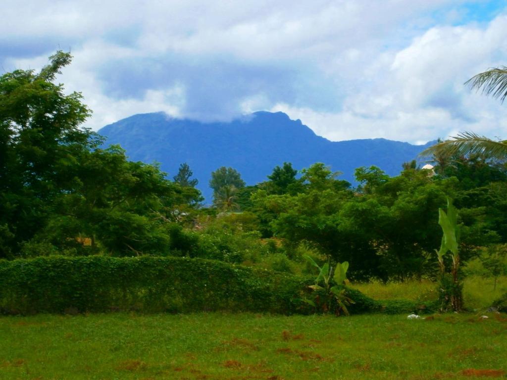 Beach Escape Resort Nadi Ngoại thất bức ảnh